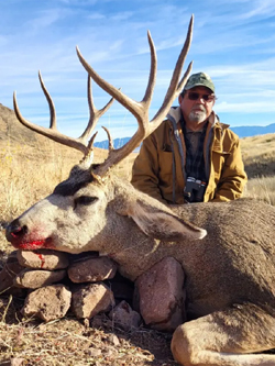 Arizona B&B Mule Deer